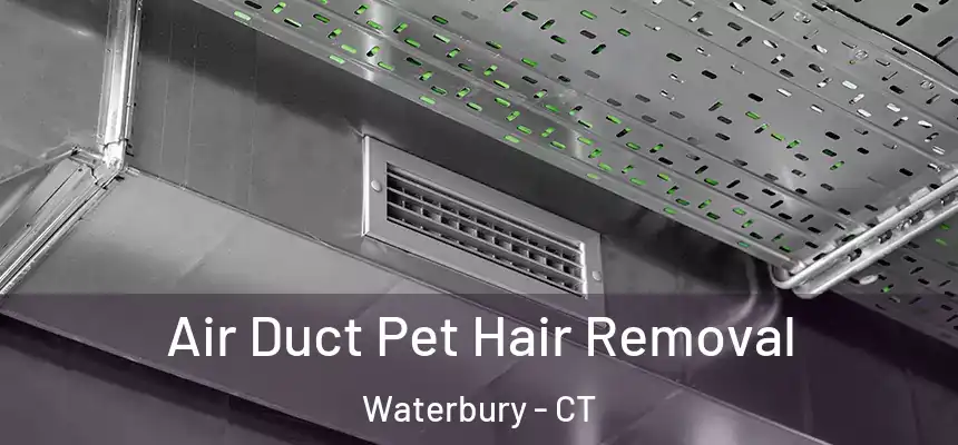 Air Duct Pet Hair Removal Waterbury - CT