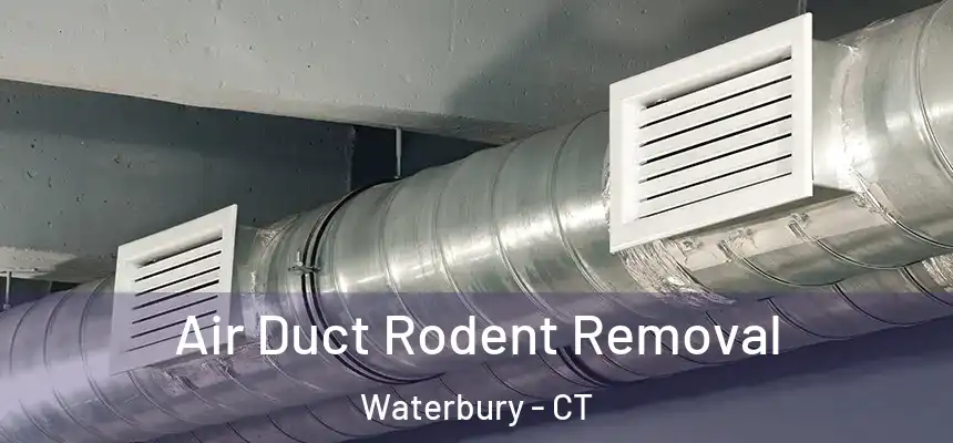 Air Duct Rodent Removal Waterbury - CT