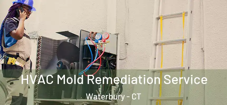 HVAC Mold Remediation Service Waterbury - CT