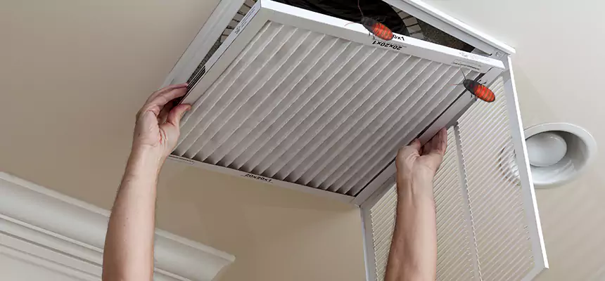 Preventive Cockroach-Proofing for Ducts in Waterbury