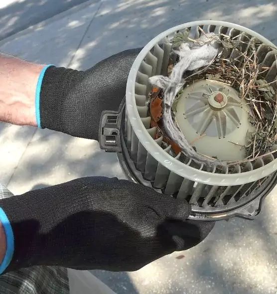 About Air Duct Rat Removal in Waterbury, CT